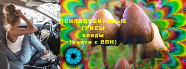 СК Гусев