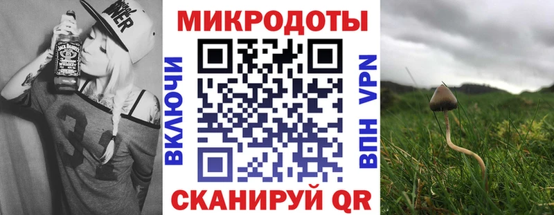Купить закладки  Кедровый  Галлюциногенные грибы Psilocybe 