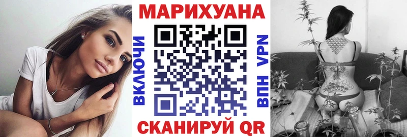Канабис ГИДРОПОН Кедровый